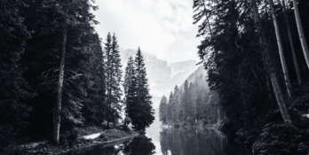 Environment Sustainability and Governance (ESG) regulations